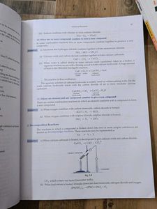 Foundation Science Chemistry for Class 10