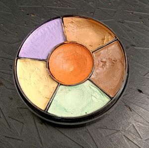 INSIGHT Pro Concealer Pallette ❤️