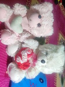 Set Of Bears Combo