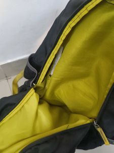 Skybags School Bag