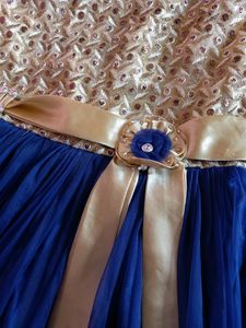 Blue And Gold Netted Gown