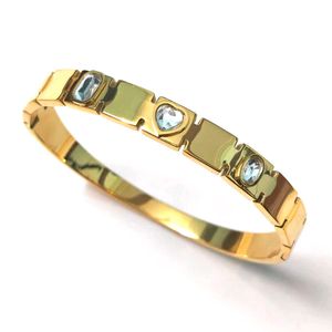 Antiturnish bracelet lock model combo of 2
