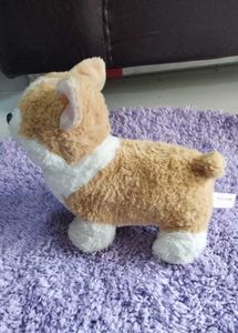 Cute Corgi Plushie