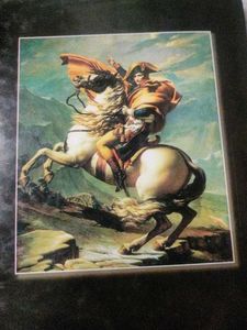 Napoleon Bonaparte (Hindi Edition)