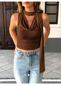 Chic Brown Ribbon Cowl Neck Top