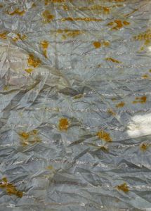 shibori Saree with Tie-Dye Print