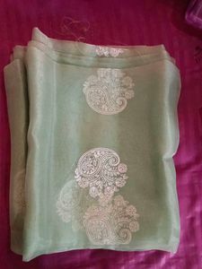 Elegant Pastel Green Saree