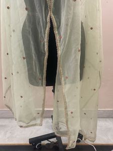 Sheer Dupatta with Embellishments