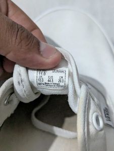 Vans White Sneakers