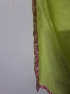 Flourescent Green Sleeves Kurta