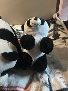 Cute Panda Plush Toys Bundle