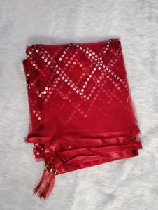 New Fancy Net Mirror Work Woman Dupatta