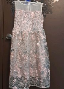 Beautiful Grey N Pink Floral Net Frock