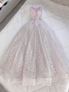 Elegant Lace Embellished pink ball Gown