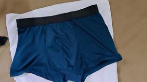 Men's Blue mini trunks