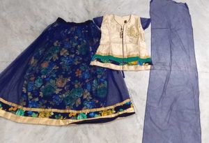 Lehenga Choli (indo western dress)