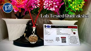 Combo Offers Of Rudraksha For Diwali 🎇🪔