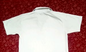Carlor T-Shirt