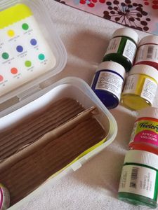 Fevicryl Acrylic Colors 10 Shades