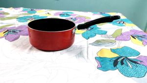 Brand New Non Stick Sause Pan (Red Colour)