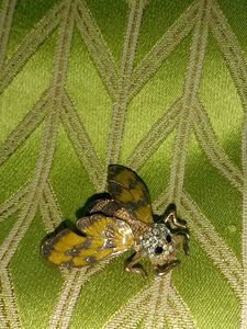 Unique Bee Brooch Pin for Unisex