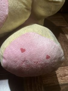 Teddy