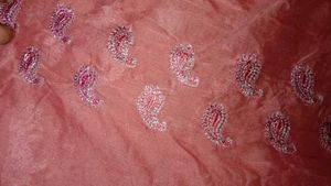 Embroidered Ombre duppata