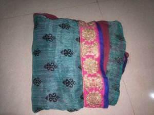 Elegant Ethnic Saree with Embellished Border 8oo