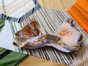 Comfortable Lightly Padded Bra