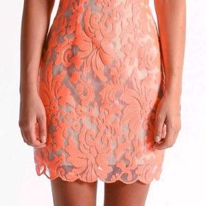 Ladakh Coral Lace Sheath Dress