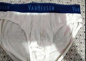 Van Heusen Men's Briefs