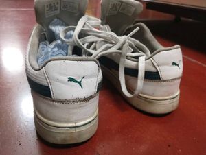 PUMA SkateCat Drift Sneakers (White-Malachite) – M