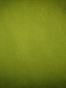 Vibrant Lime Green Dupatta