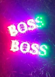 10pis Dc Boss Light