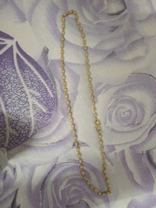 Delicate Gold Chain Necklace