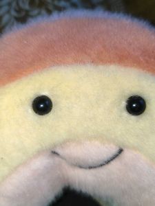 Rainbow 🌈 plush