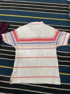 Striped Polo Shirt