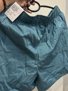 Nike new Teal Running Shorts