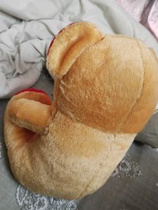 Cute Teddy Bear