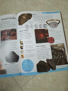 DK Encyclopedia for Young Readers