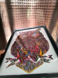 Premium Quality Graphics Painting Frame