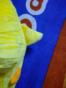 Designer Cap Like Soft Toy Price Negotiable