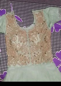 Elegant Light Green Embroidered Ethnic Gown