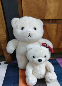 Teddy Bear combo (2 pic)
