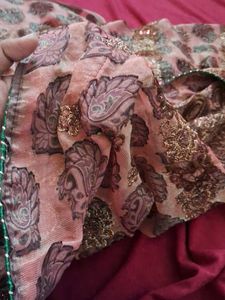 onion colour tissue chamki work saree