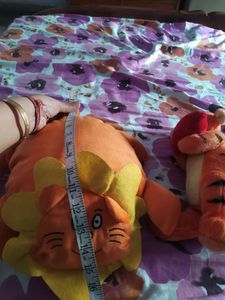 cutie lion