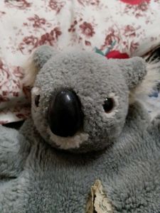 Cute Koala Tissue box cover
