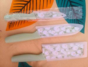 Set of 3 Floral Design Kitchen Knives