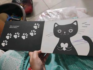 Baby's First High Contrast Book