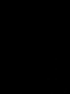 VT3